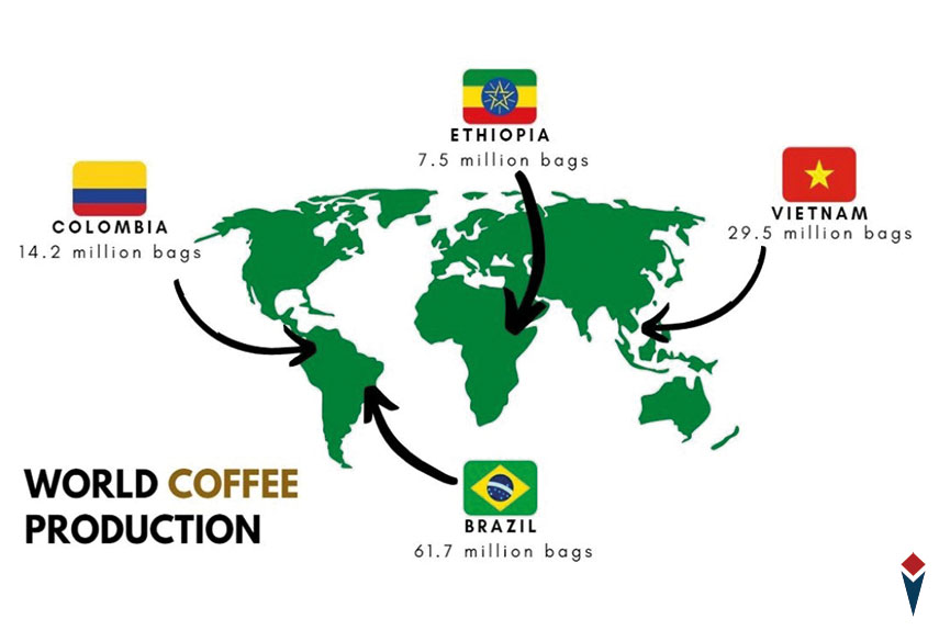 کدام کشور‌ها قهوه‌ی اسپشیالیتی بیشتری کشت می‌کنند؟